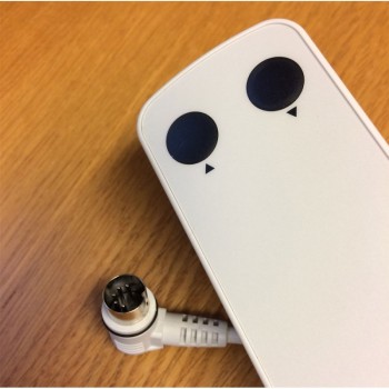 Molift Quick Raiser 1 Hand Control, 2 Button