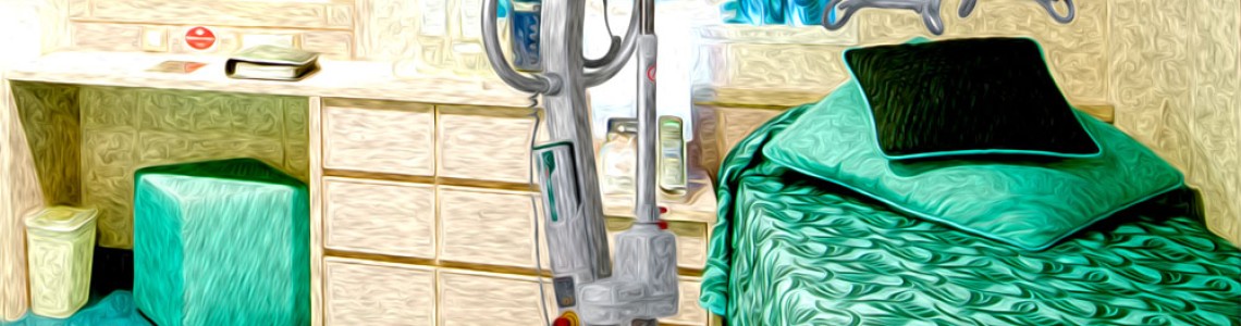 Cruise Ships with Hoists - No longer a dream