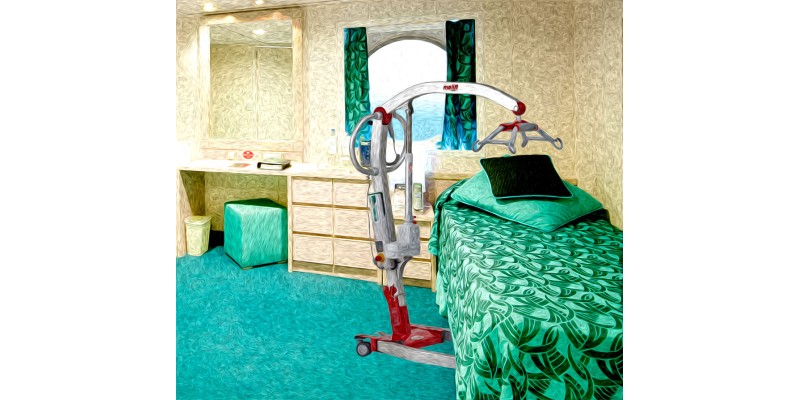 Cruise Ships with Hoists - No longer a dream